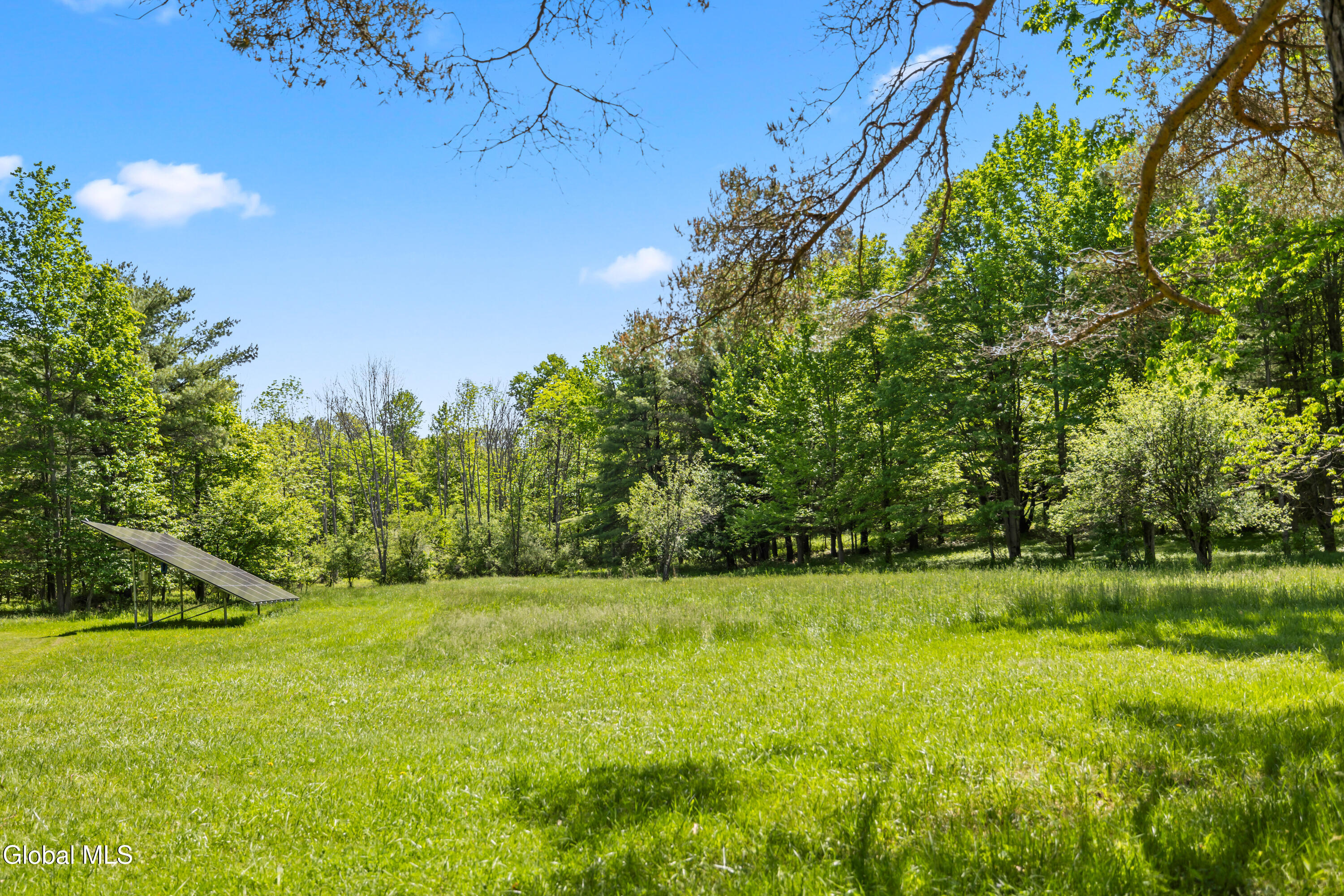 863 Turnbull Road Delanson, NY 12053 - Photo 76 of 79 Backyard_3
