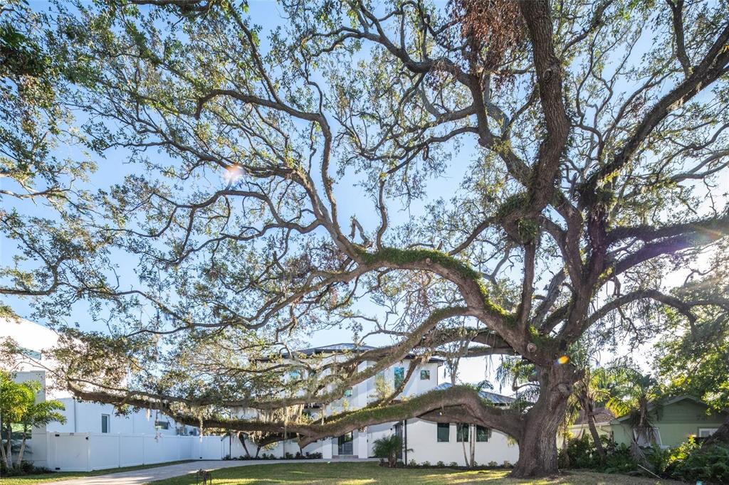 2420 Floyd Street Sarasota, FL 34239 - Photo 92 of 93