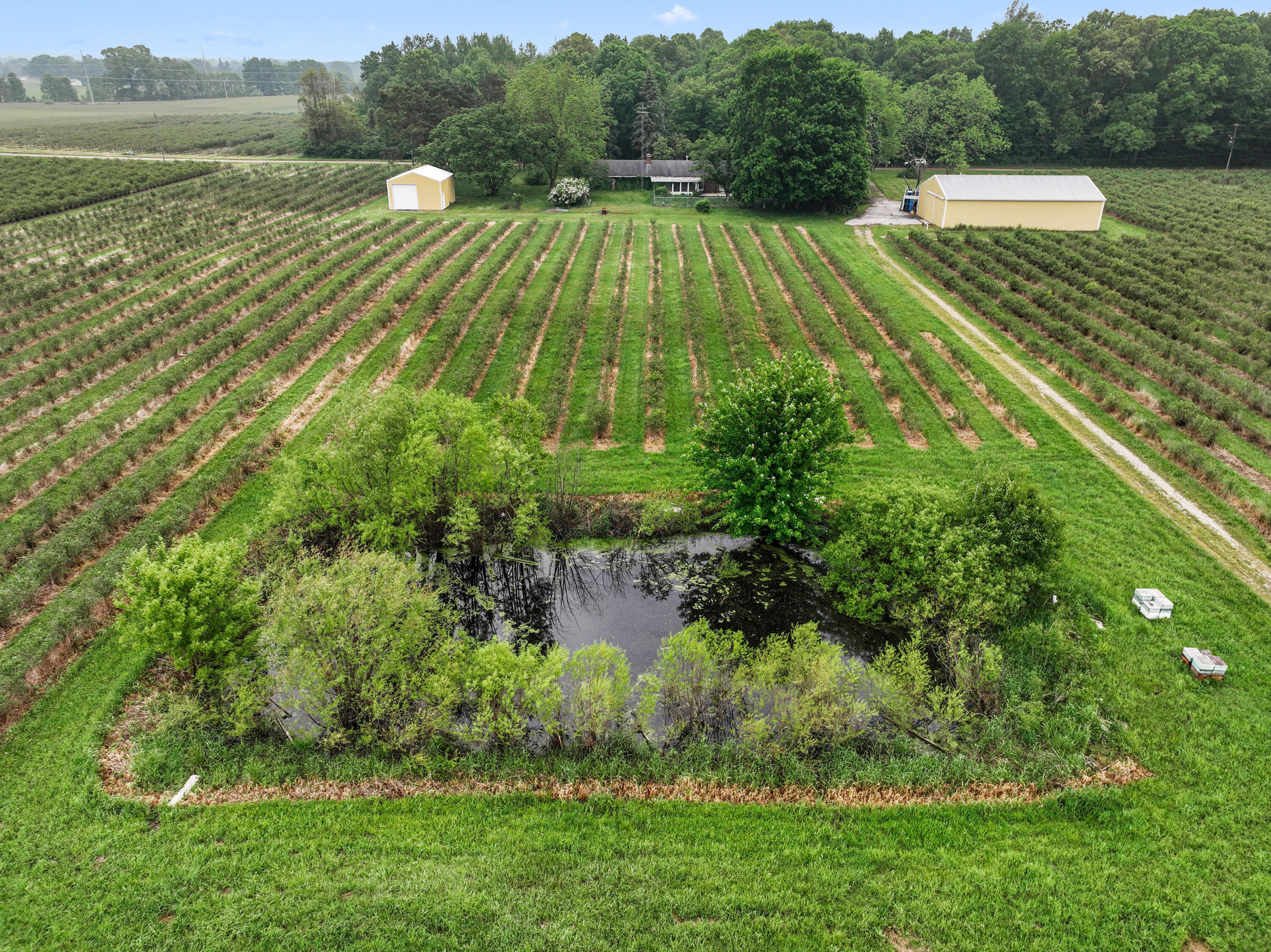 2031 Lynch Road Benton Harbor, MI 49022 - Photo 2 of 10 Pond