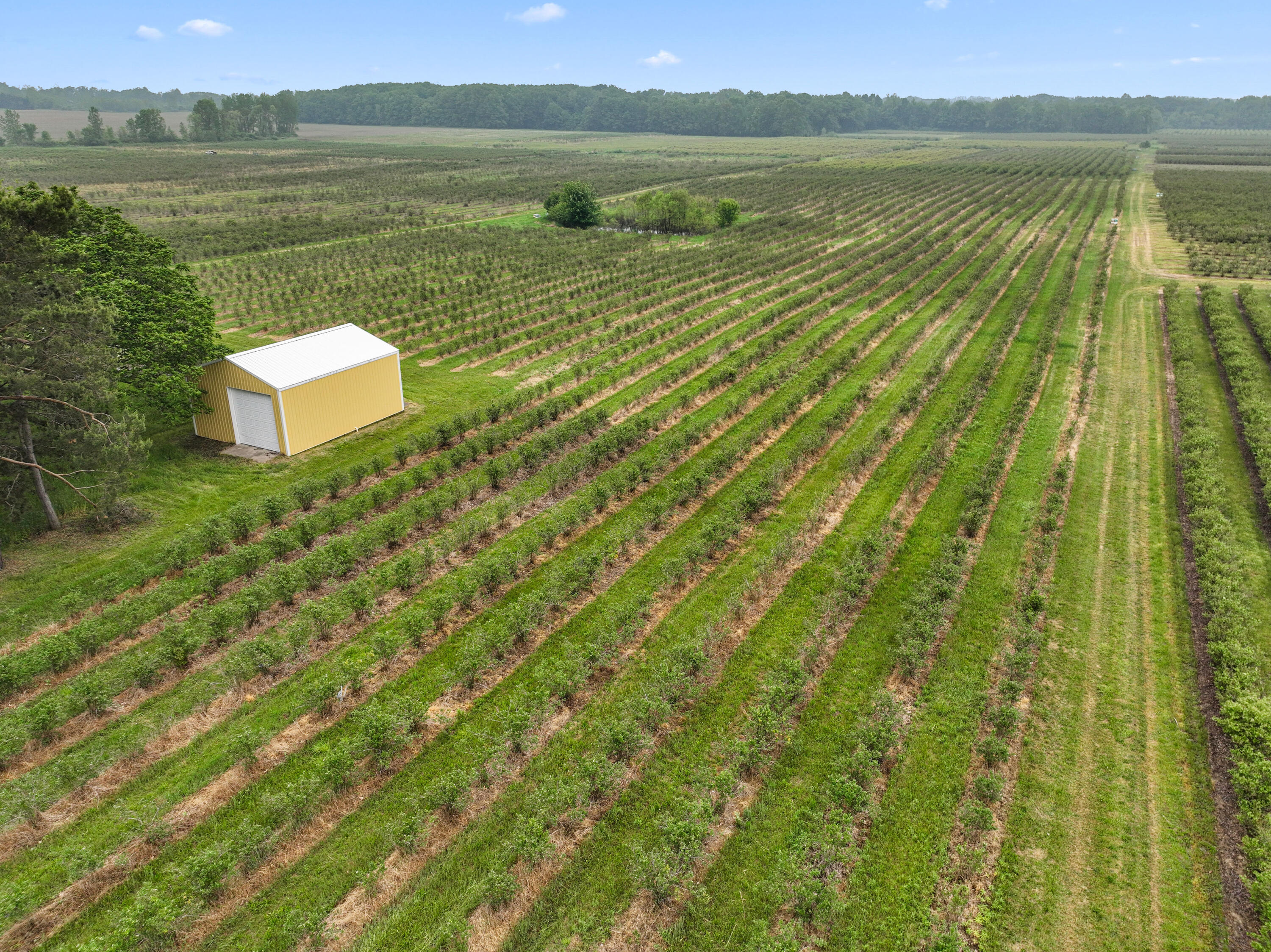 2031 Lynch Road Benton Harbor, MI 49022 - Photo 5 of 10 DJI_0474