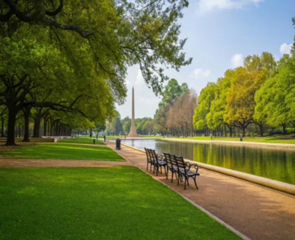 a garden view with a tall trees