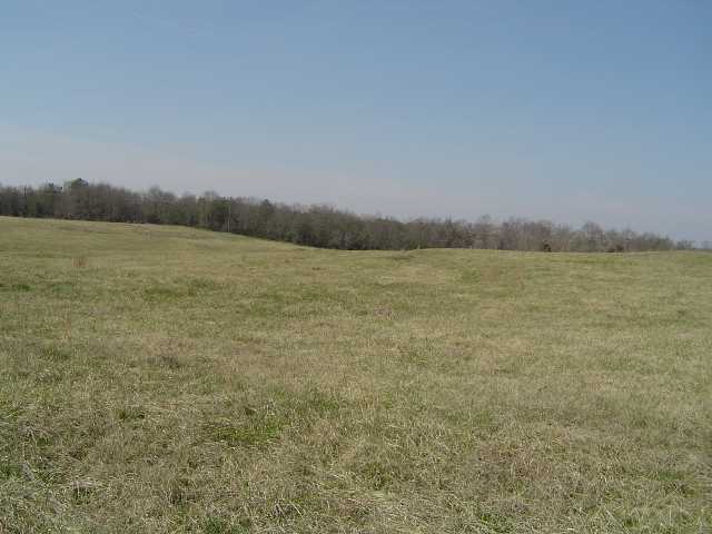 Lot 12 Old Green Pond Road Anderson, SC 29625 - Photo 1 of 1 Gallery Image 1