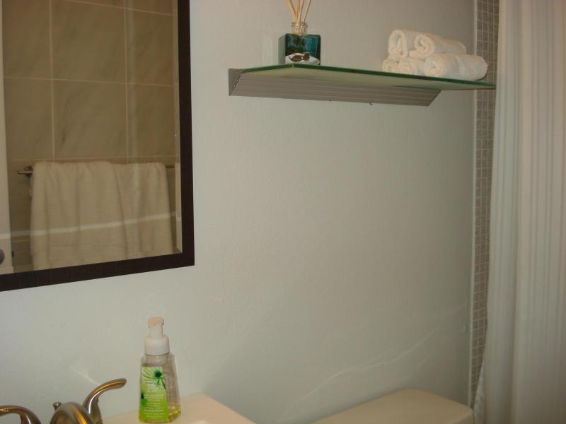 2929 South Ocean Boulevard, Unit 203 Boca Raton, FL 33432 - Photo 19 of 20 boca south condo bath3