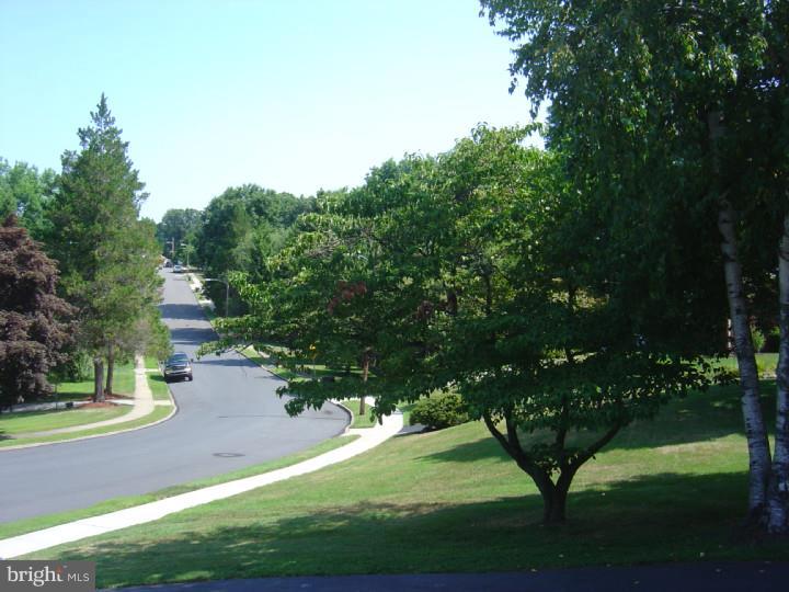 617 Cambridge Road Brookhaven, PA 19015 - Photo 4 of 18 View from Front Door