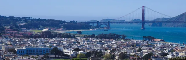 a view of a town with large trees and buildings in the background