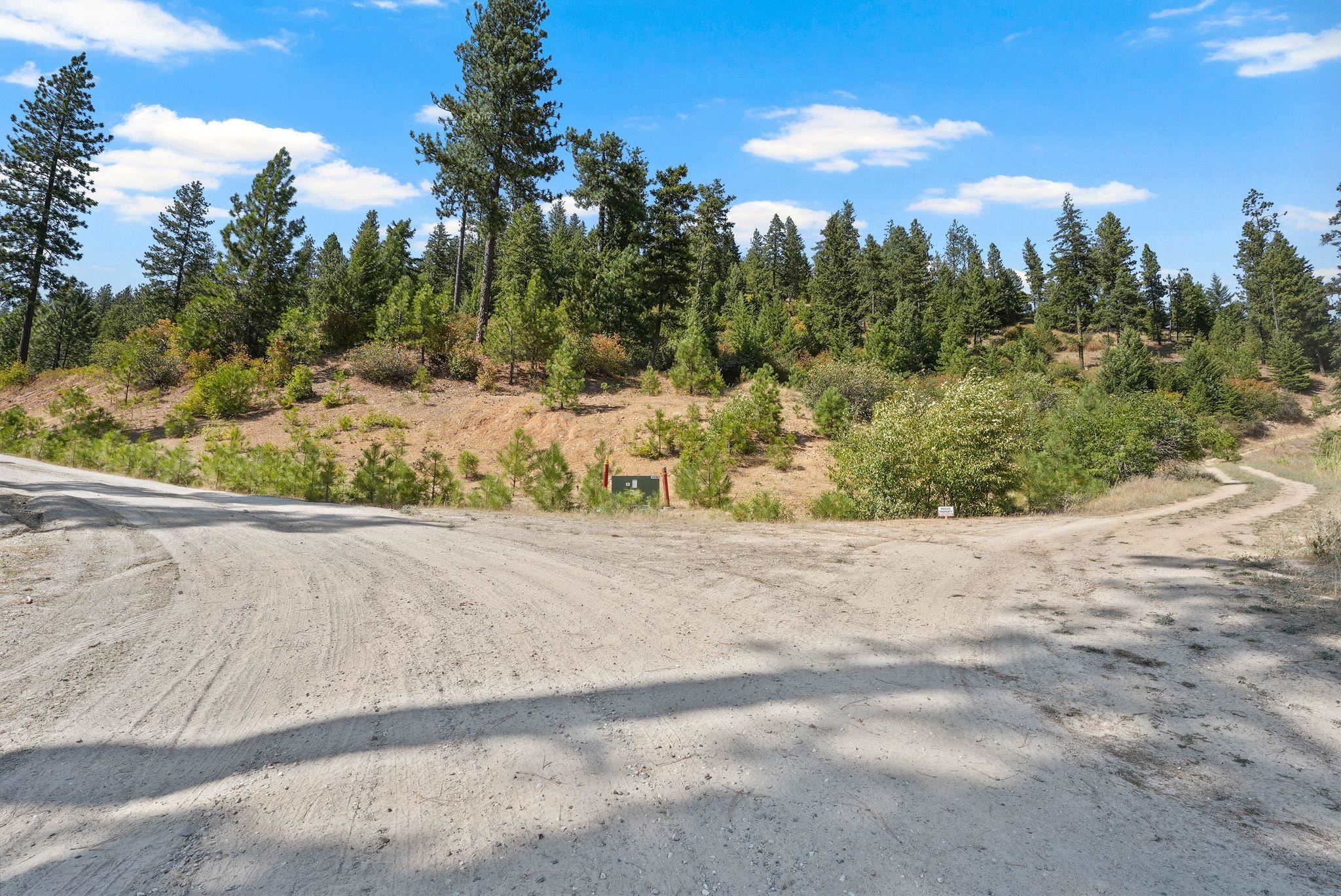 4139 North Deer Lake Road, Unit LOT 5 Loon Lake, WA 99148 - Photo 12 of 18