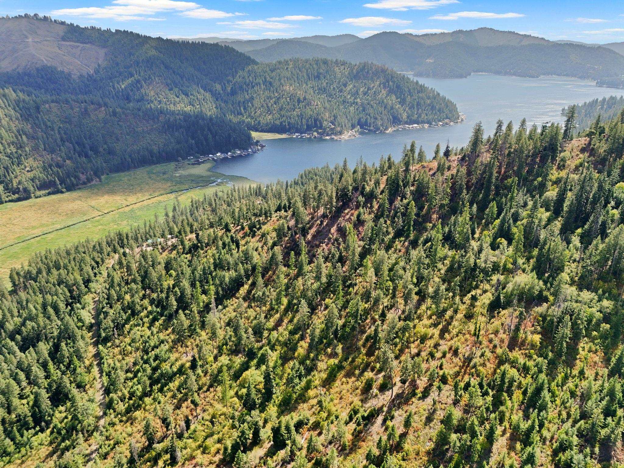 4139 North Deer Lake Road, Unit LOT 5 Loon Lake, WA 99148 - Photo 15 of 18