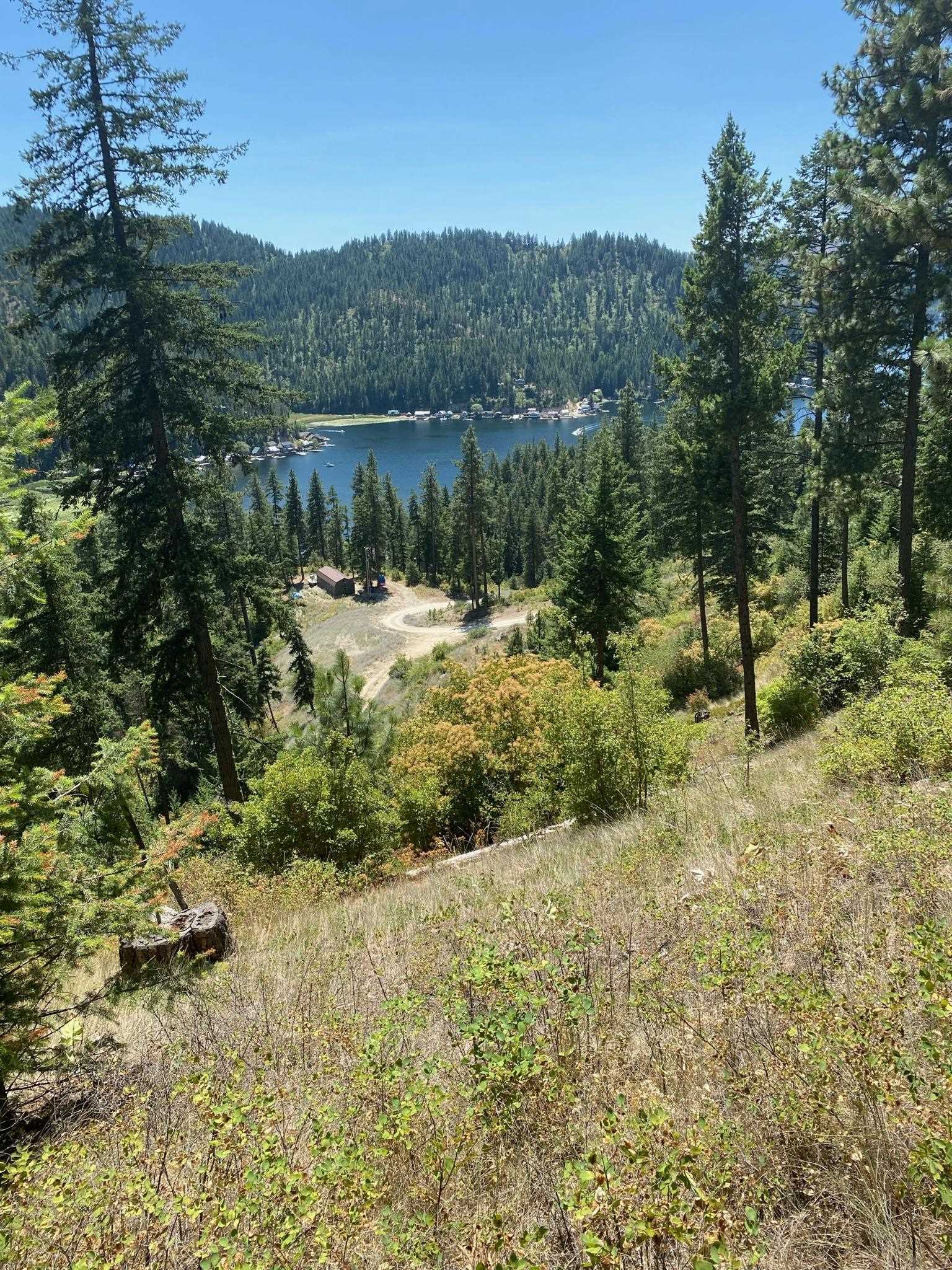 4139 North Deer Lake Road, Unit LOT 5 Loon Lake, WA 99148 - Photo 16 of 18