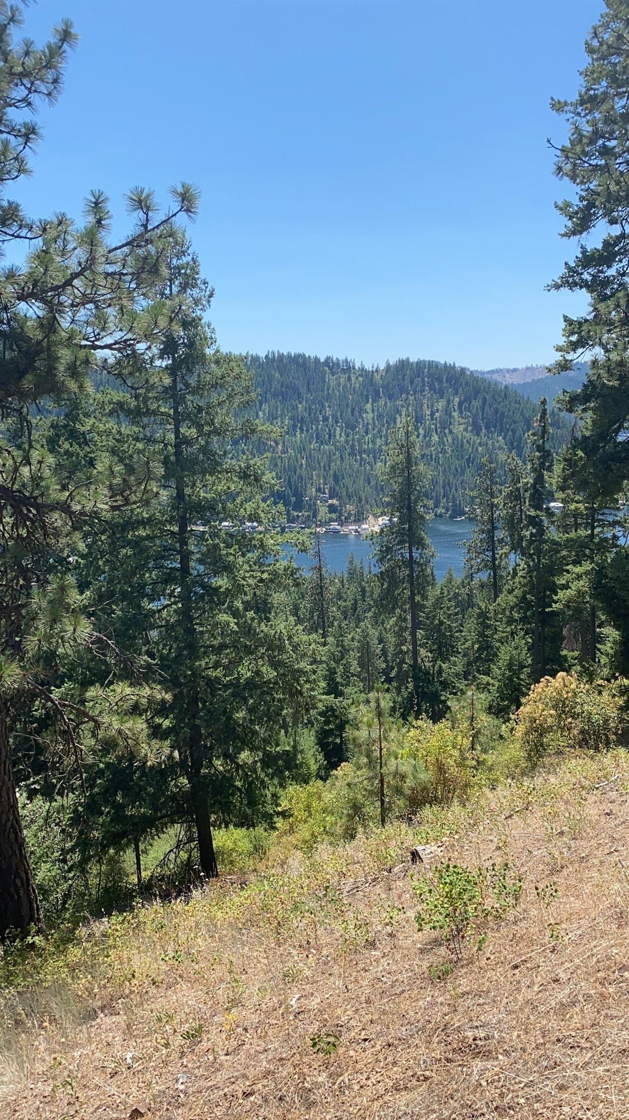 4139 North Deer Lake Road, Unit LOT 5 Loon Lake, WA 99148 - Photo 17 of 18