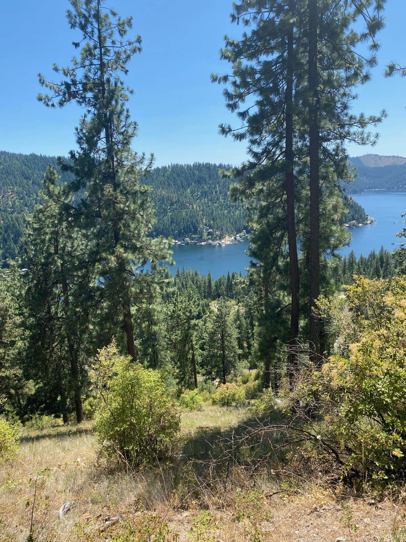 4139 North Deer Lake Road, Unit LOT 5 Loon Lake, WA 99148 - Photo 18 of 18