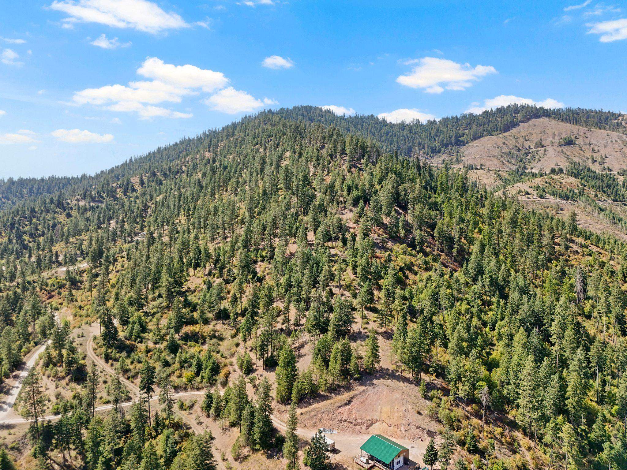 4139 North Deer Lake Road, Unit LOT 5 Loon Lake, WA 99148 - Photo 3 of 18