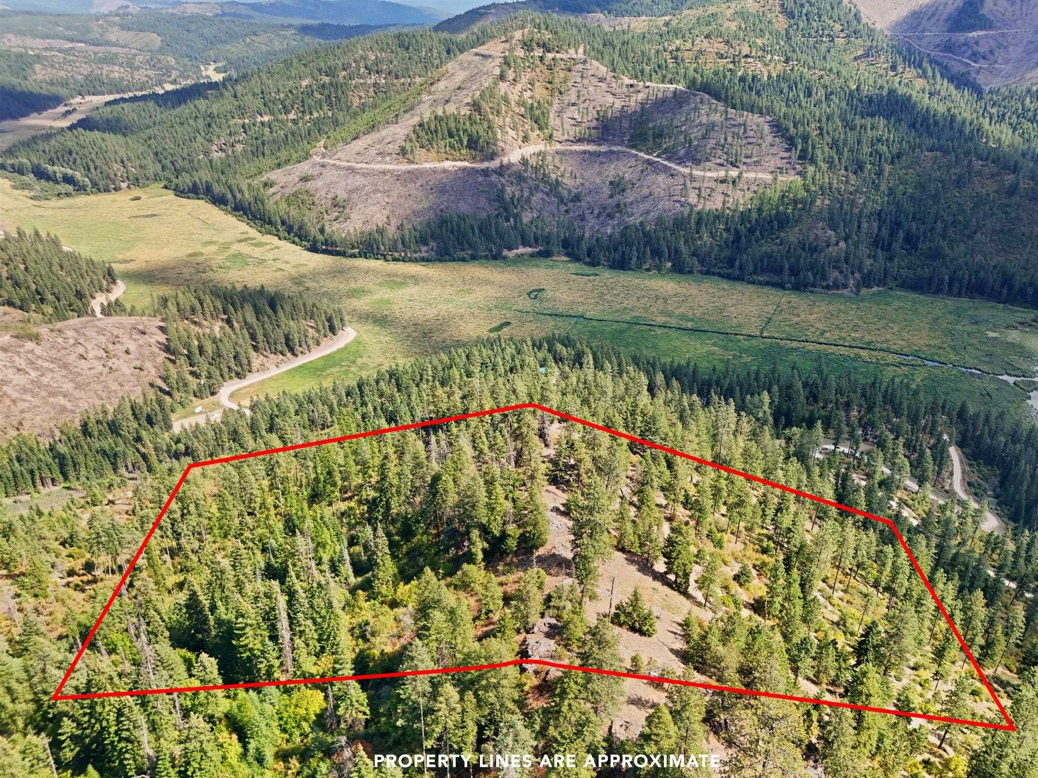 4139 North Deer Lake Road, Unit LOT 5 Loon Lake, WA 99148 - Photo 4 of 18