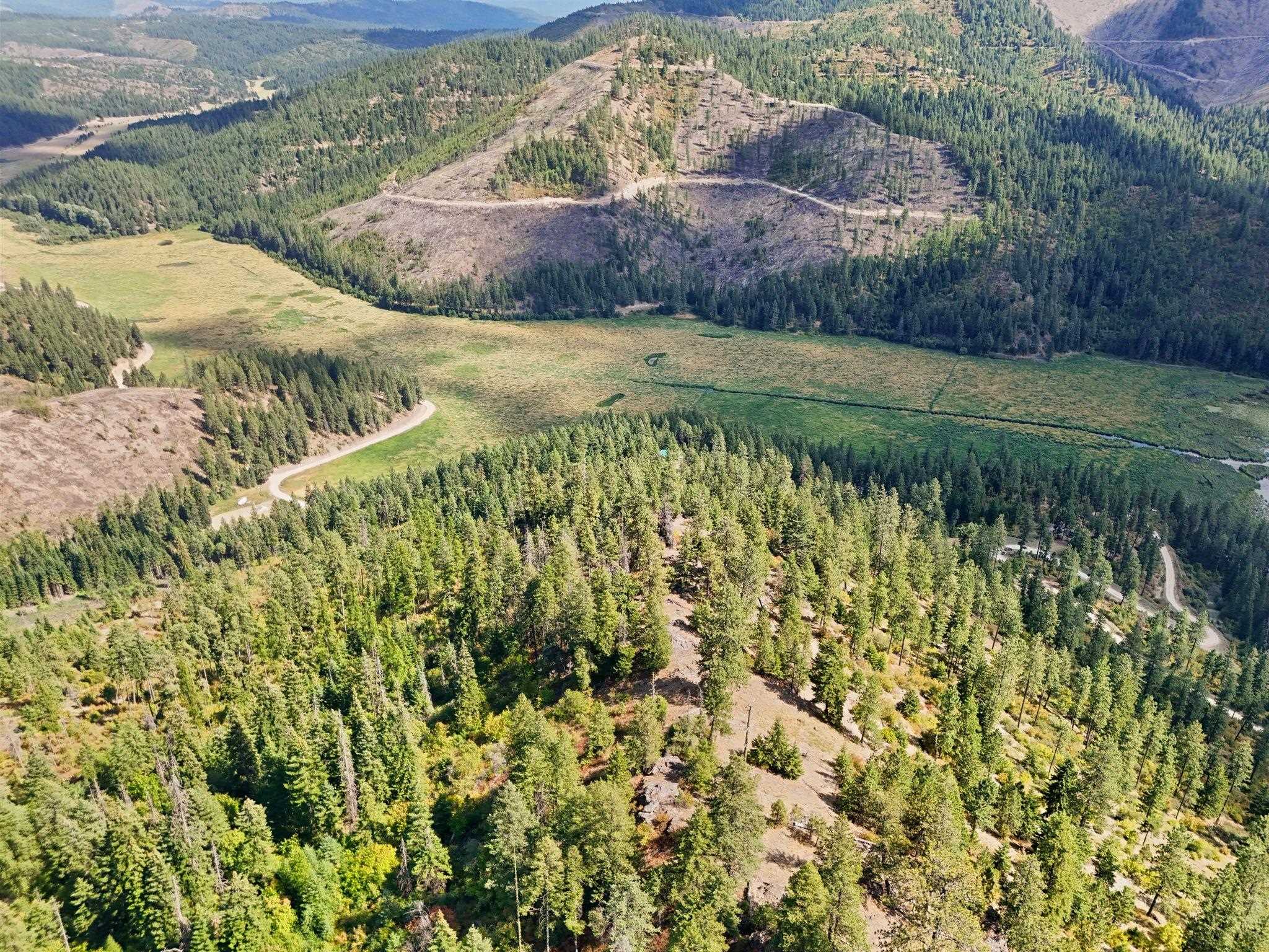 4139 North Deer Lake Road, Unit LOT 5 Loon Lake, WA 99148 - Photo 5 of 18