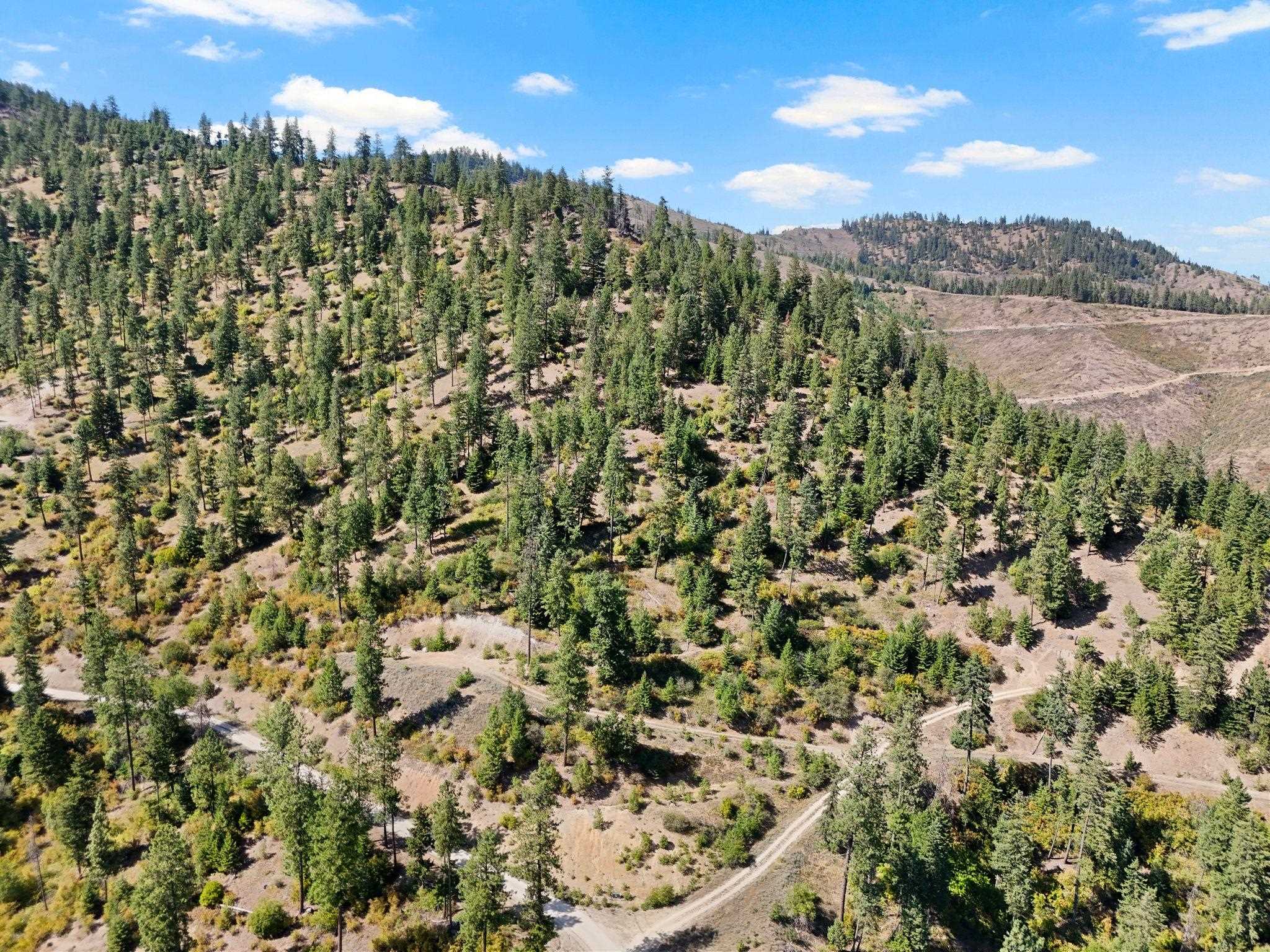 4139 North Deer Lake Road, Unit LOT 5 Loon Lake, WA 99148 - Photo 6 of 18