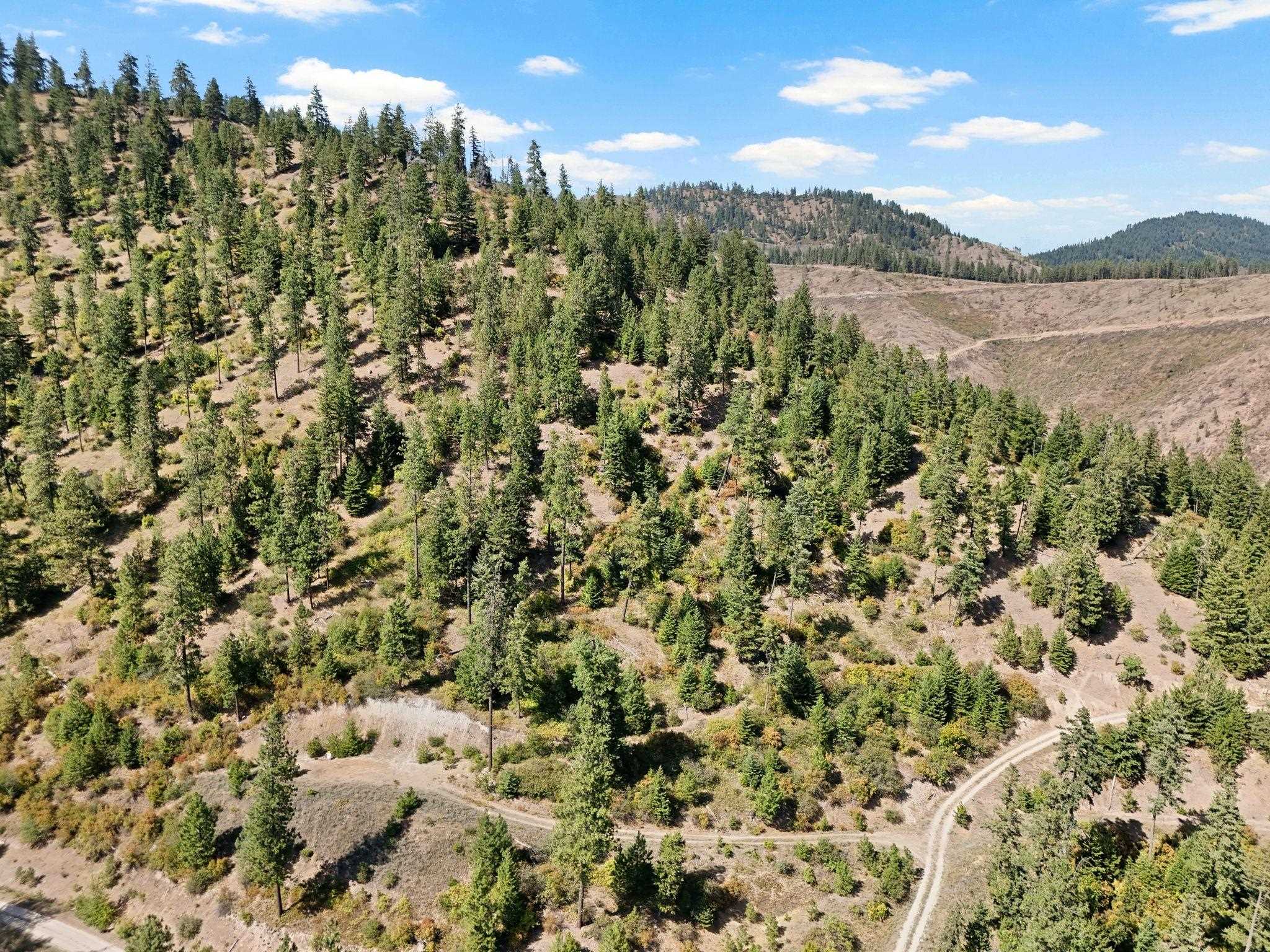 4139 North Deer Lake Road, Unit LOT 5 Loon Lake, WA 99148 - Photo 9 of 18