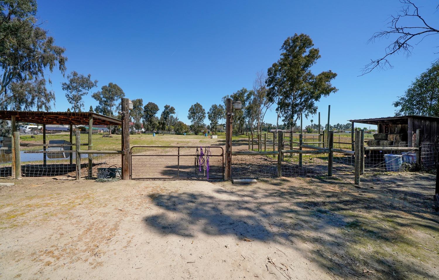 15249 Mark Road Madera, CA 93636 - Photo 43 of 55