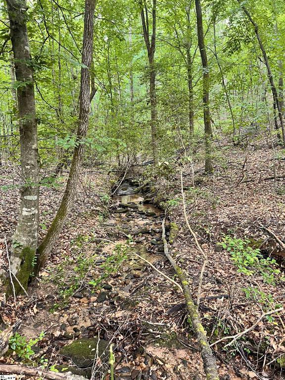 1299 Singleton Road Westminster, SC 29693 - Photo 11 of 13 Gallery Image 11