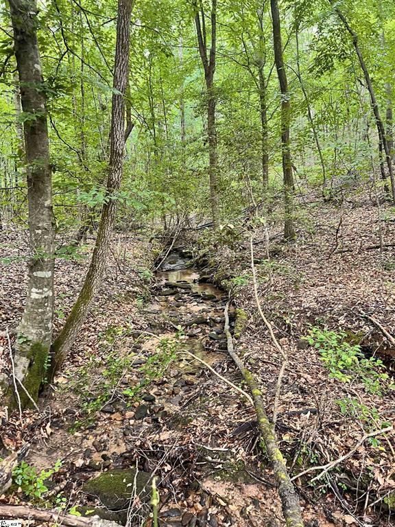 1299 Singleton Road Westminster, SC 29693 - Photo 3 of 13 Gallery Image 3