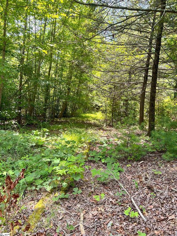 1299 Singleton Road Westminster, SC 29693 - Photo 9 of 13 Gallery Image 9