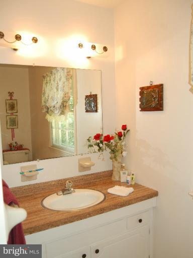 12019 Canter Lane Reston, VA 20191 - Photo 18 of 29 Bath