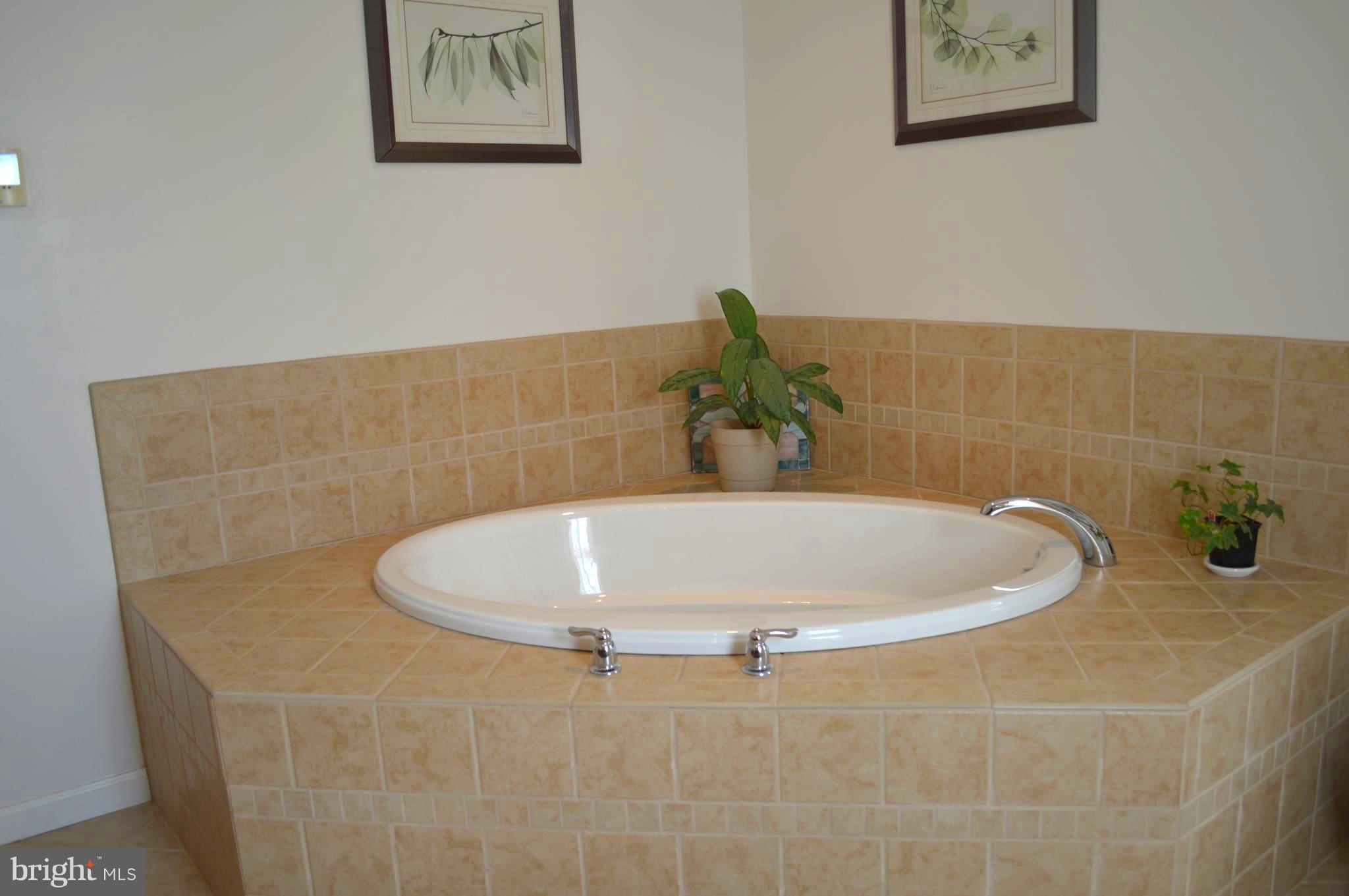 108 White Hall Road Elkton, MD 21921 - Photo 16 of 26 Bath (Master)