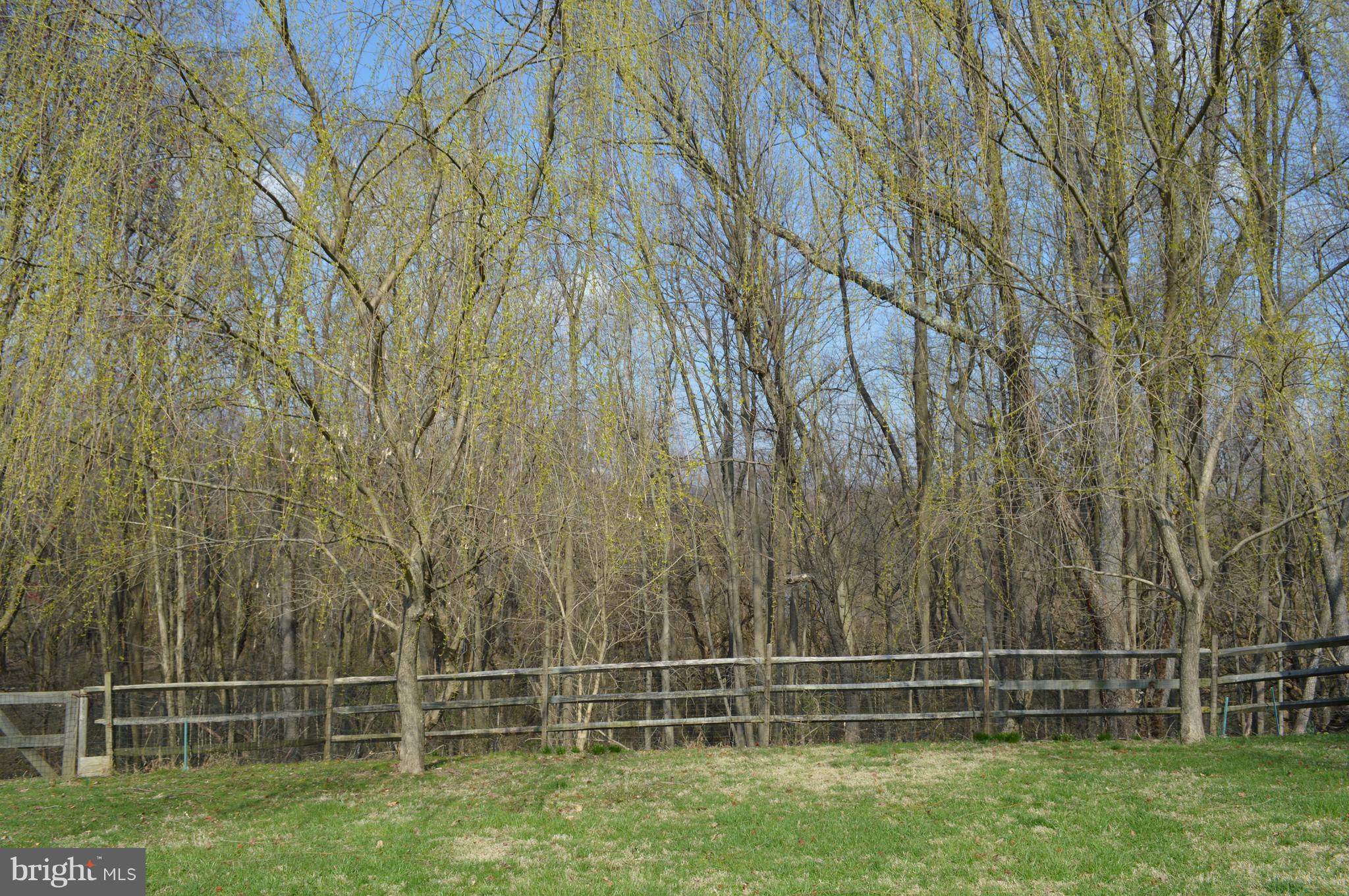 108 White Hall Road Elkton, MD 21921 - Photo 25 of 26 View