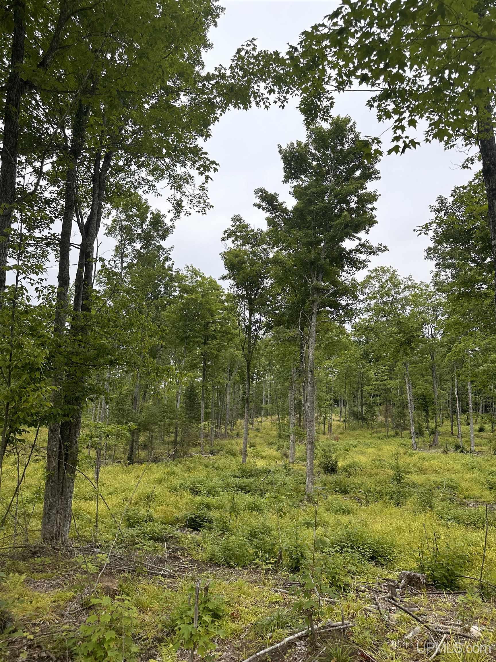 Tbd Co Rd 496 (b) Road, Unit PARCEL B Champion, MI 49814 - Photo 2 of 33