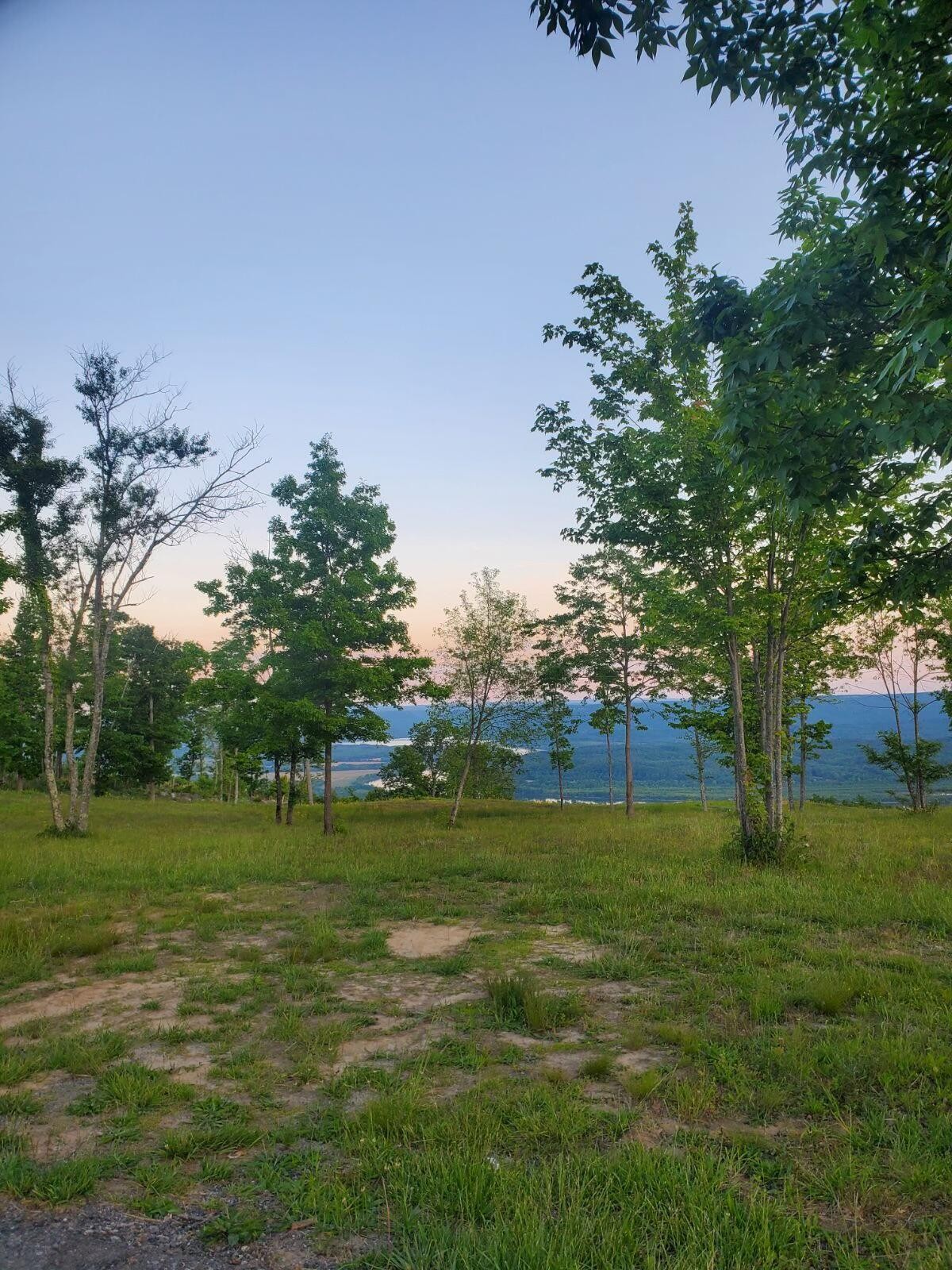 0 Misty View Court Jasper, TN 37347 - Photo 15 of 30 a backyard of a house with lots of green space and garden