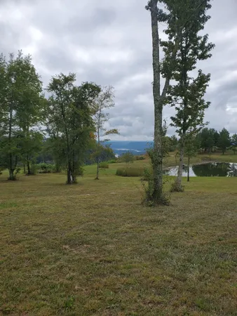 a view of a backyard with wooden fence