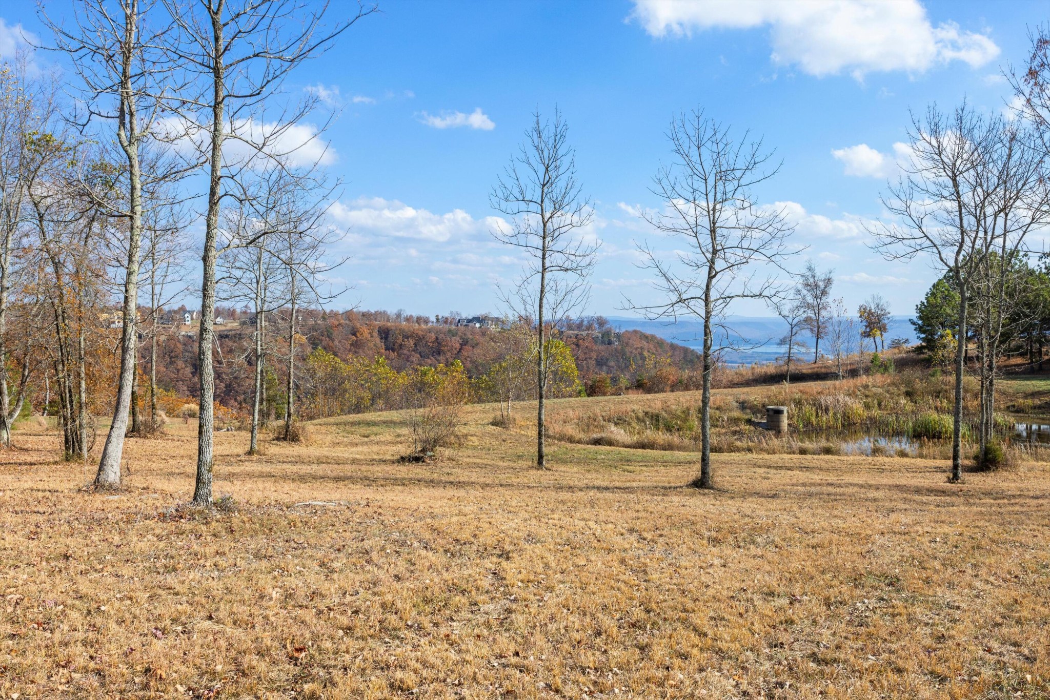 0 Misty View Court Jasper, TN 37347 - Photo 6 of 30 a view of a tree