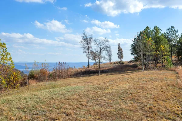 a view of a field with trees in the background