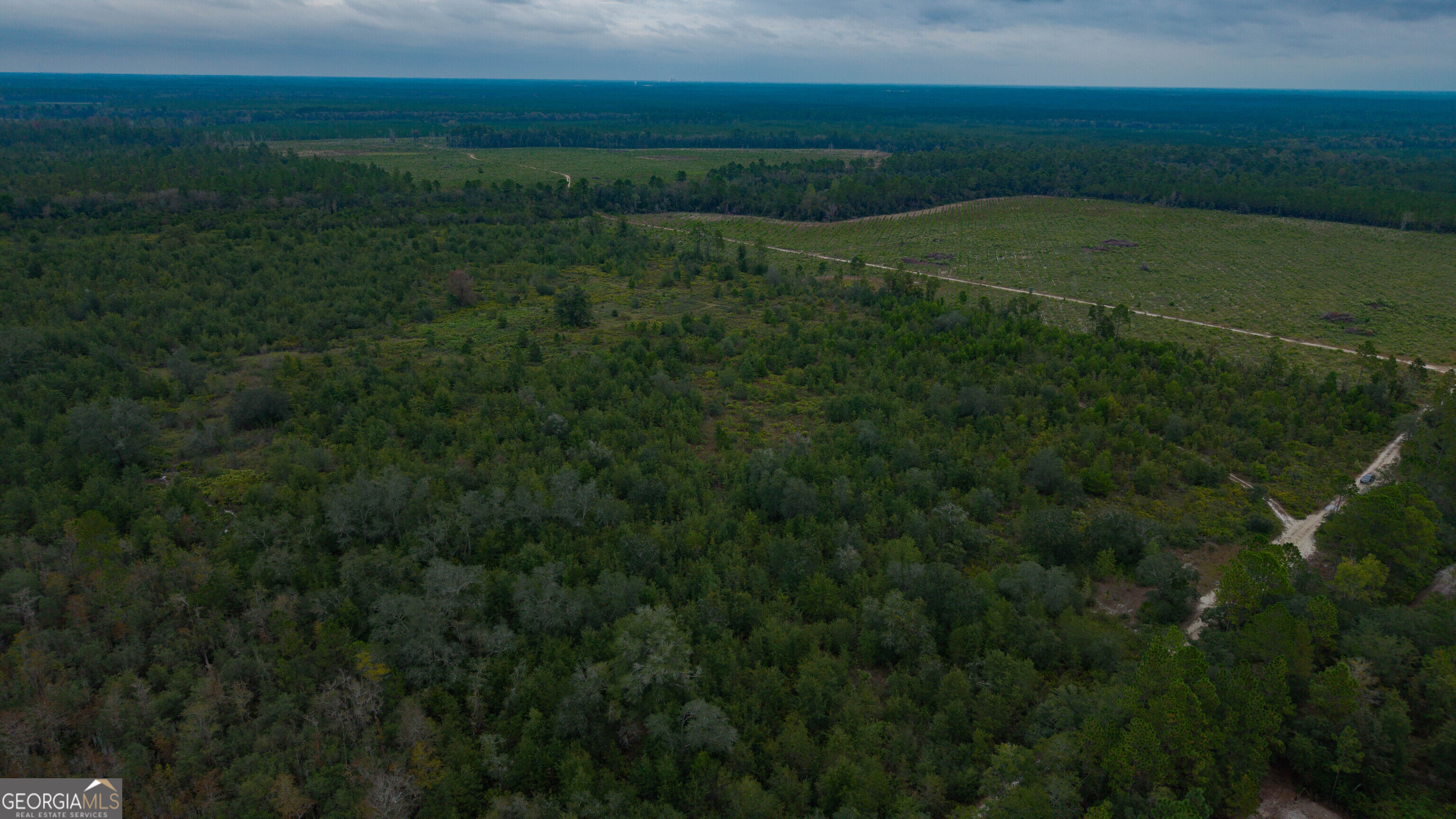 0 Bennett Road Screven, GA 31560 - Photo 30 of 52 Gallery Image 30