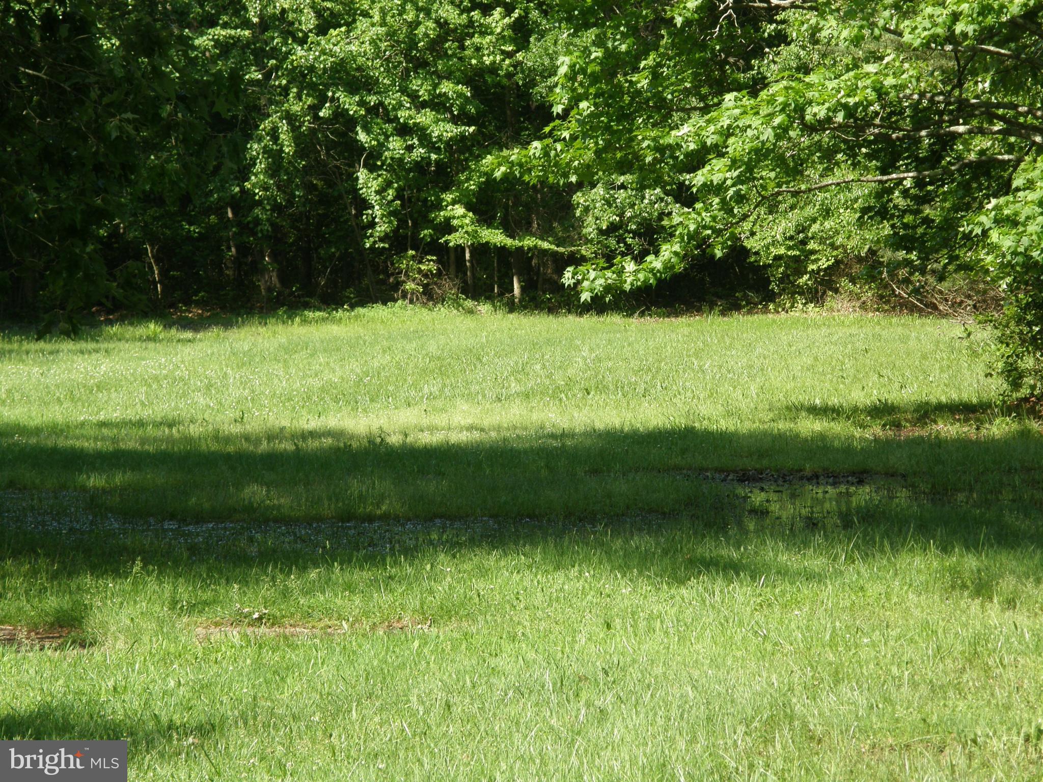 6400 Shady Side Road Shady Side, MD 20764 - Photo 12 of 12 Exterior (Rear)