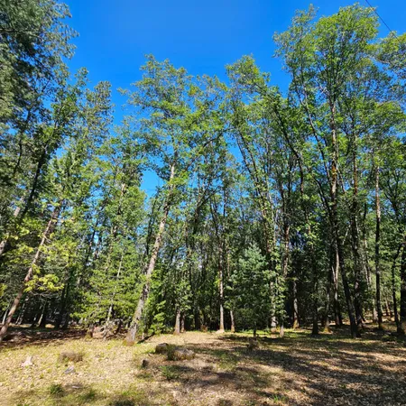 $99,900 | 15367 Lakewood Lane, Grass Valley, CA 95945