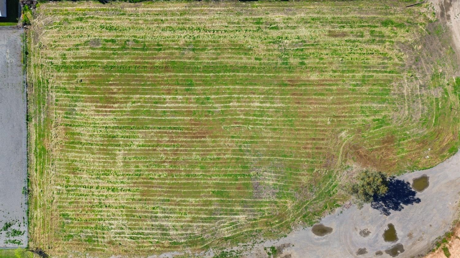 0 Ca-16 Esparto, CA 95627 - Photo 9 of 17