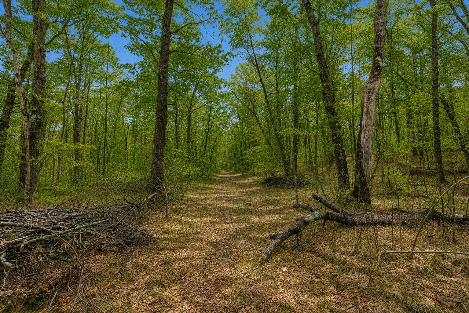 N17260 Tower Line Road Pembine, WI 54156 - Photo 12 of 20