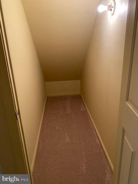 5244 Dixons Mill Road Marshall, VA 20115 - Photo 21 of 61 Storage under the stairs