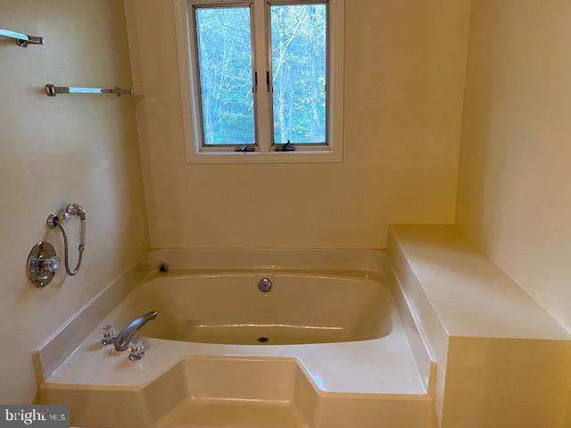 5244 Dixons Mill Road Marshall, VA 20115 - Photo 29 of 61 Master soaking tub