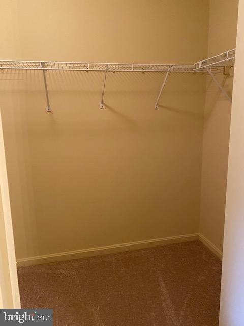 5244 Dixons Mill Road Marshall, VA 20115 - Photo 30 of 61 Master walk-in closet