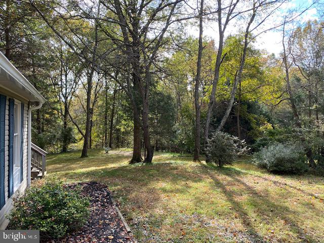 5244 Dixons Mill Road Marshall, VA 20115 - Photo 45 of 61 View