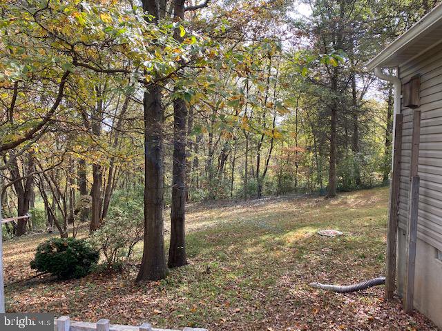 5244 Dixons Mill Road Marshall, VA 20115 - Photo 47 of 61 View