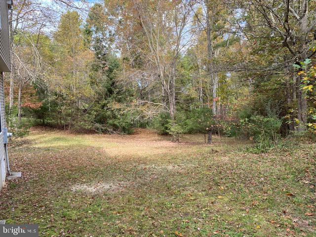 5244 Dixons Mill Road Marshall, VA 20115 - Photo 50 of 61 Sideyard