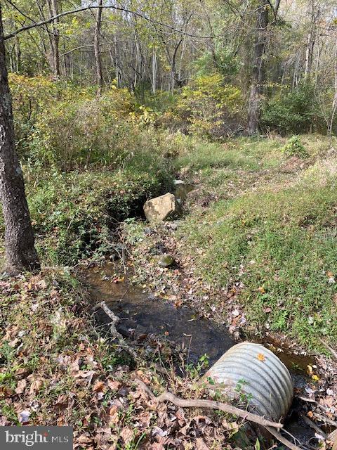 5244 Dixons Mill Road Marshall, VA 20115 - Photo 52 of 61 Creek on property