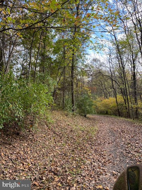 5244 Dixons Mill Road Marshall, VA 20115 - Photo 53 of 61 Driveway view