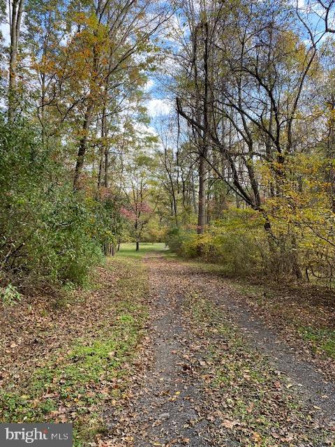 5244 Dixons Mill Road Marshall, VA 20115 - Photo 54 of 61 Driveway view