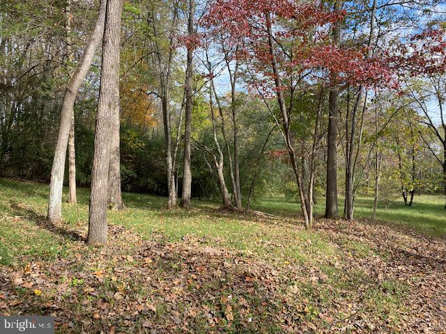 5244 Dixons Mill Road Marshall, VA 20115 - Photo 55 of 61 View