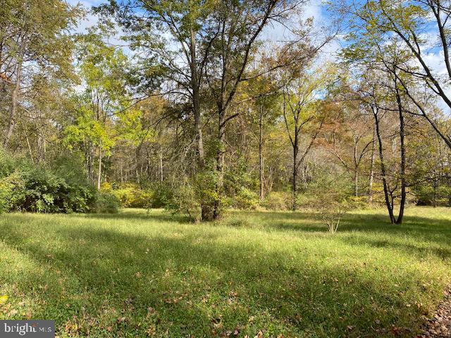 5244 Dixons Mill Road Marshall, VA 20115 - Photo 56 of 61 View