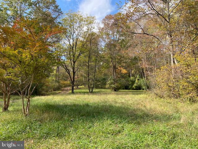 5244 Dixons Mill Road Marshall, VA 20115 - Photo 57 of 61 View