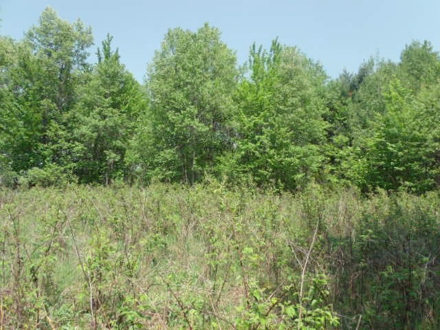 2350 North Black Road Twining, MI 48766 - Photo 31 of 35 1800556-30.JPG