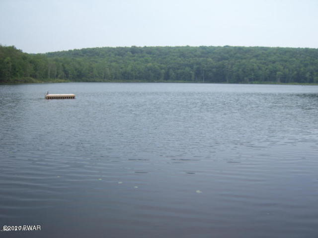 87 Ridge Road Lake Ariel, PA 18436 - Photo 54 of 63 09-CLP Stocked Fishing Lake with Swim Pl